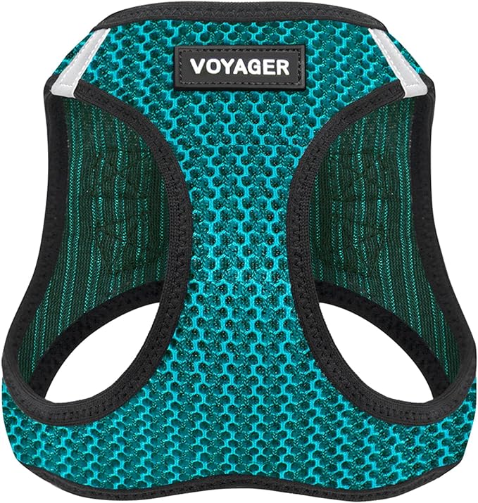 Voyager Step-in Air Dog Harness - All Weather Mesh Step in Vest Harness for Small and Medium Dogs by Best Pet Supplies - Turquoise (2-Tone), L
