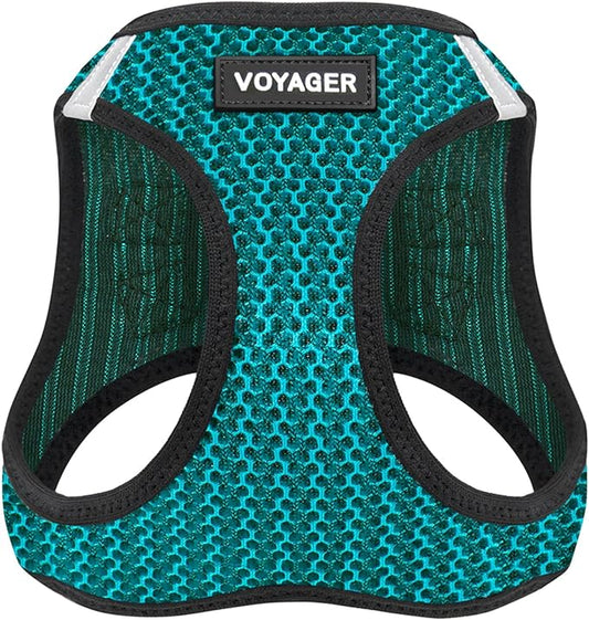 Voyager Step-in Air Dog Harness - All Weather Mesh Step in Vest Harness for Small and Medium Dogs by Best Pet Supplies - Turquoise (2-Tone), L