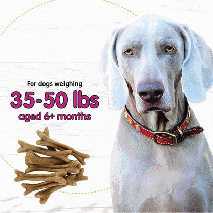 Belly Bones for Dogs, 8 Yogurt Flavor Medium Dog Dental Treats (Made in USA) - 8 Count Dog Treats for Medium Dogs - Plaque and Tartar Control for Fresh Breath, Digestive Health Support