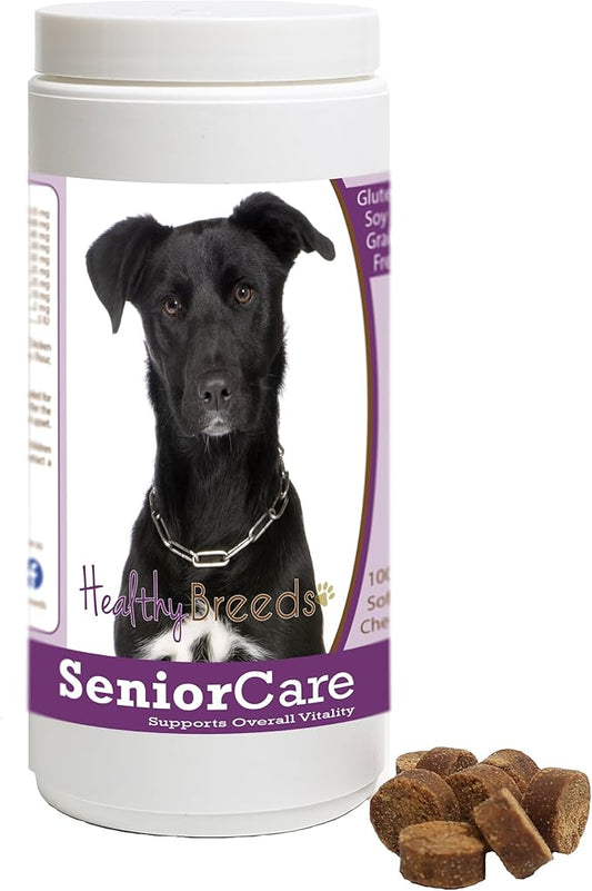 Healthy Breeds Mutt Senior Dog Care Soft Chews 100 Count