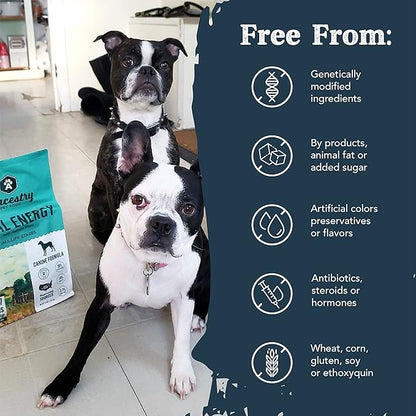 Ancestry Tidal Energy Dog Food, Salmon Meal with Sweet Potato Recipe, Crude Protein, Fiber & Fat, For All Life Stages, Improve Gut Health, Grain Free, Digestive & Immune Support (25 lb. Bag)