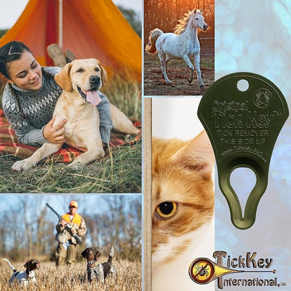 The Original Tick Key -Tick Detaching Device - Portable, Safe and Highly Effective Tick Detaching Tool - 3 Pack (Earth)