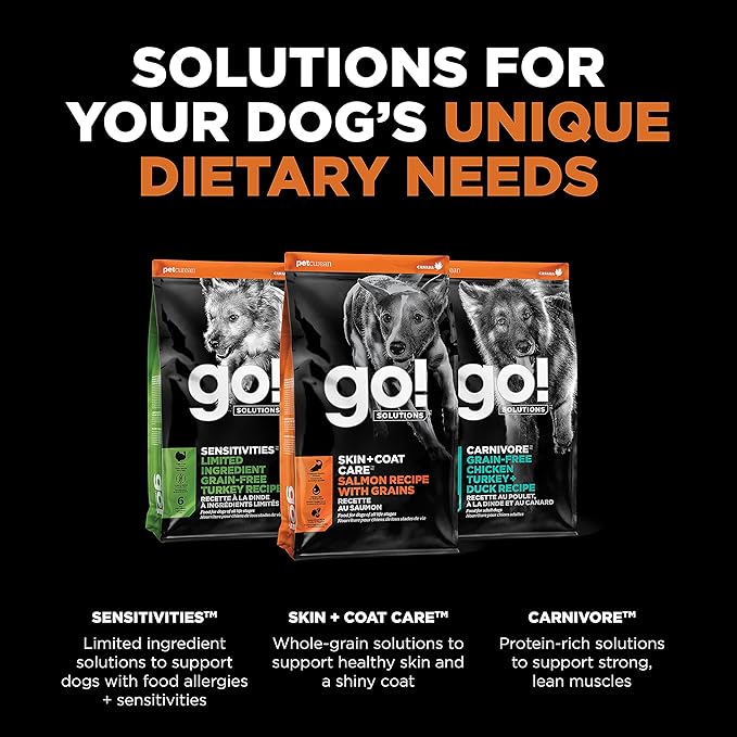 GO! SOLUTIONS Skin + Coat Care - Dry Dog Food, 12 lb - Salmon Recipe with Grains for All Life Stages - Complete + Balanced Nutrition for Dogs