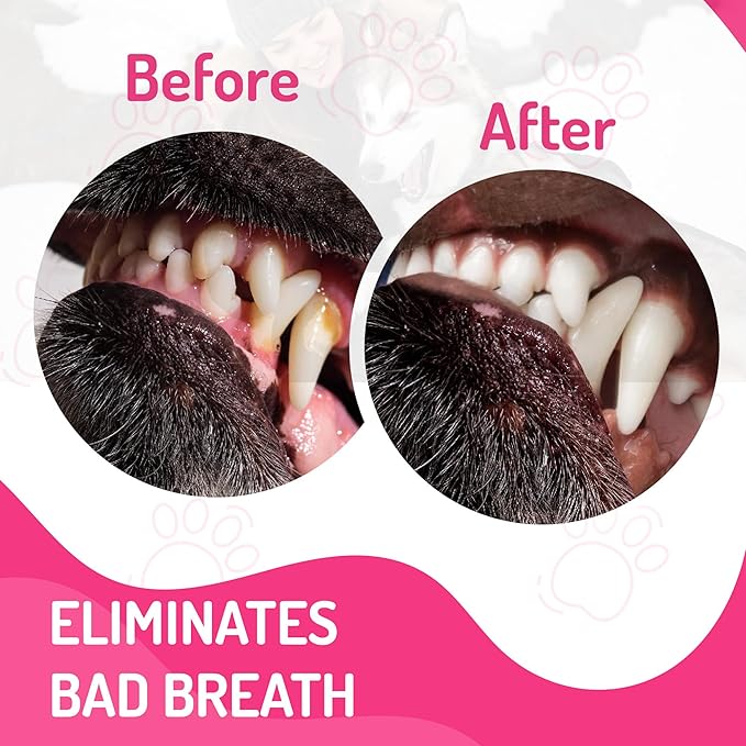 Dog Mouthwash: Advanced Dental Care Water Additive for Dogs | Keep Dog Breath Fresh and Teeth Clean | Supports Gum Health | Eliminates Bad Breath, Whitens Teeth, Prevents Cavities