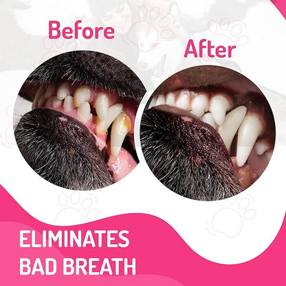 Dog Mouthwash: Advanced Dental Care Water Additive for Dogs | Keep Dog Breath Fresh and Teeth Clean | Supports Gum Health | Eliminates Bad Breath, Whitens Teeth, Prevents Cavities