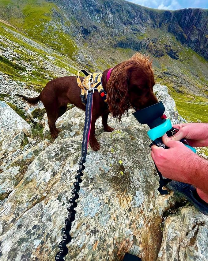 lesotc Dog Water Bottle, Portable Dog Water Dispenser, Leak Proof Pet Water Bottle for Dogs, Dog Travel Water Bottle for Outdoor Walking, Hiking, Travel, BPA-Free, Lightweight