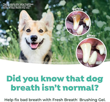 TropiClean Fresh Breath Toothbrush Kit for Small & Medium Dogs | Dog Toothbrush Kit to Fix Stinky Dog Breath | Easy to Use Plaque & Tartar Remover Kit