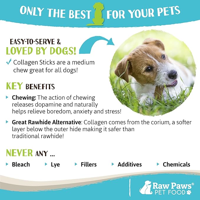 Raw Paws Beef Collagen Sticks for Dogs, 6 inch, 10-ct - Packed in USA - Natural Collagen for Dogs - Dog Chews for Aggressive Chewers & Large Dogs - Collagen Bones for Dogs, Dog Collagen Chews for Dogs