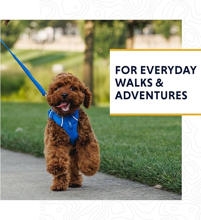 Ruffwear, Front Range Dog Leash, 5 ft Lead with Padded Handle for Everyday Walking, Moonlight Fade