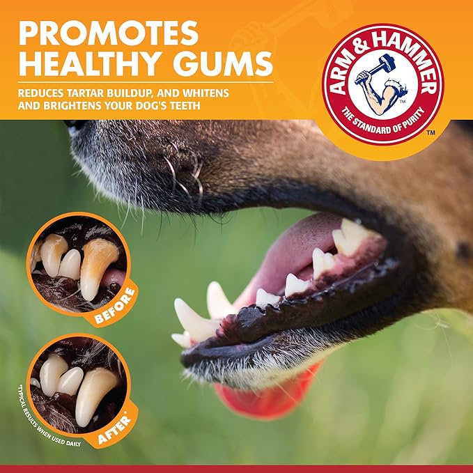 Arm & Hammer for Pets Clinical Care Dental Gum Health Enzymatic Toothpaste for Dogs | Soothes Inflamed Gums | Dog Toothpaste is Safe for All Dogs and Puppies, Beef Flavor, 2.5 Ounces (Pack of 72)