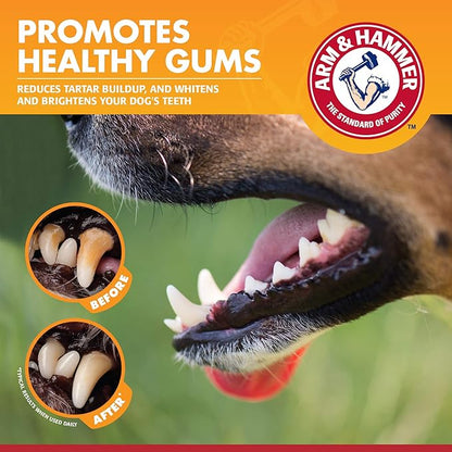 Arm & Hammer for Pets Clinical Care Dental Gum Health Enzymatic Toothpaste for Dogs | Soothes Inflamed Gums | Dog Toothpaste is Safe for All Dogs and Puppies, Beef Flavor, 2.5 Ounces (Pack of 72)
