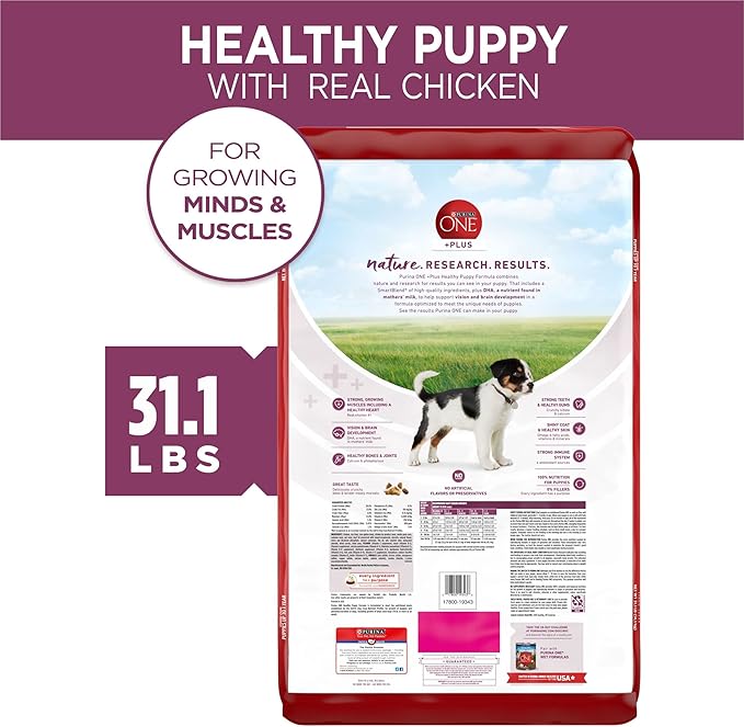 Purina ONE Plus Healthy Puppy Formula High Protein Natural Dry Puppy Food with added vitamins, minerals and nutrients - 31.1 lb. Bag