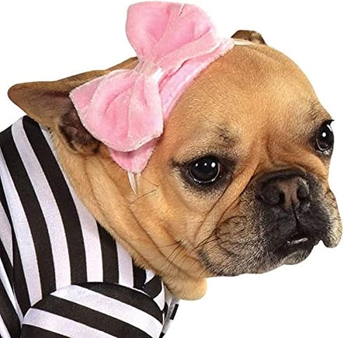Rubie's unisex adult 50s Girl Pet Costume Party Supplies, As Shown, S Neck 12 Girth 17 Back 11 US