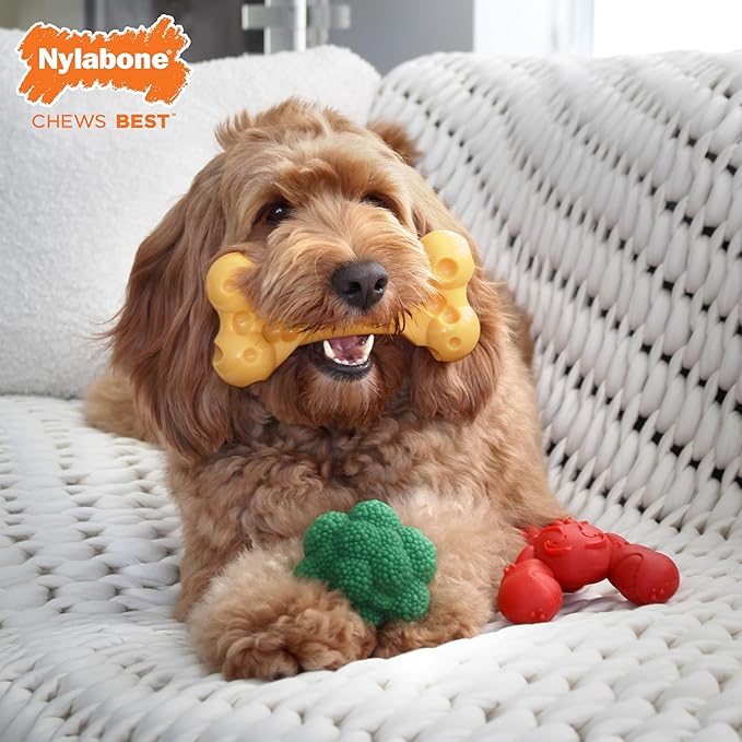 Nylabone Power Chew Dog Chew Toy Pack Bundle - Fun & Cute Dog Toys for Aggressive Chewers, Tough Dog Toys, Lobster, Cheese, and Broccoli Shapes, Large/Giant (3 Count)
