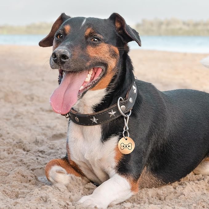 MYLUCKYTAG Stainless Steel QR Code Pet ID Tags Dog Tags - Pet Online Profile - Scan QR Receive Instant Pet Location Alert Email