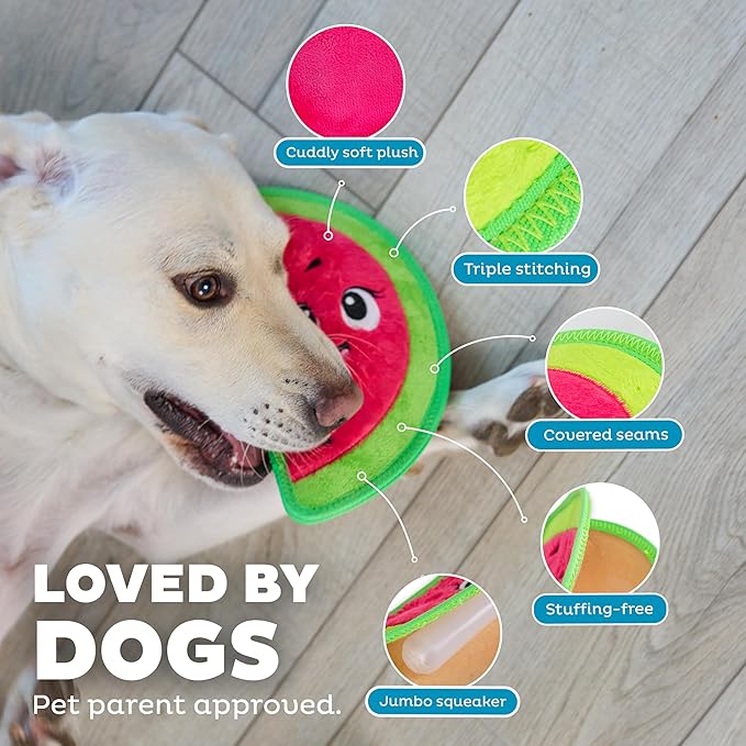 Outward Hound Tough Skinz Durable Squeaky Dog Toy with Two Tough Layers, Watermelon, Red, Medium