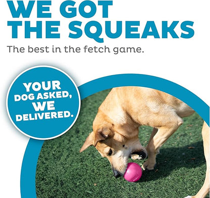 Outward Hound Orbee-Tuff Squeak Ball Pink Dog Fetch Toy