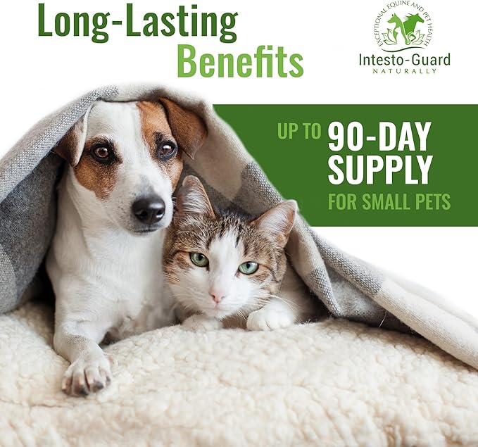 Powder Prebiotic Probiotics for Dogs & Cats Bowel Digestive Immune Support Supports Gut Flora Nutrition Immunity 180G Bottle - 90 Scoops (Powder)