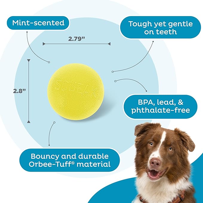Outward Hound Orbee-Tuff Squeak Ball Yellow Dog Fetch Toy