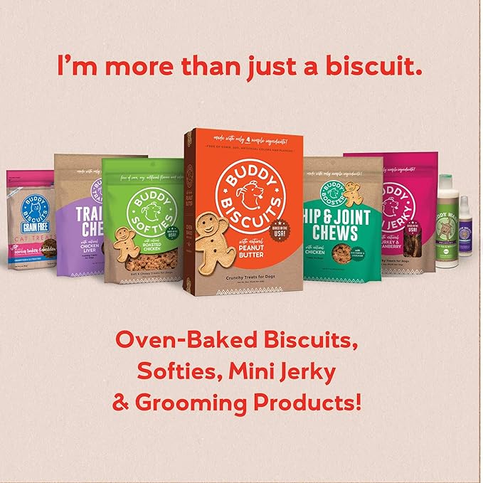 Buddy Biscuits Softies 5 oz Pouch, Grain-Free Soft & Chewy, Natural Grilled Beef Flavor Dog Treats, Oven Baked in The USA
