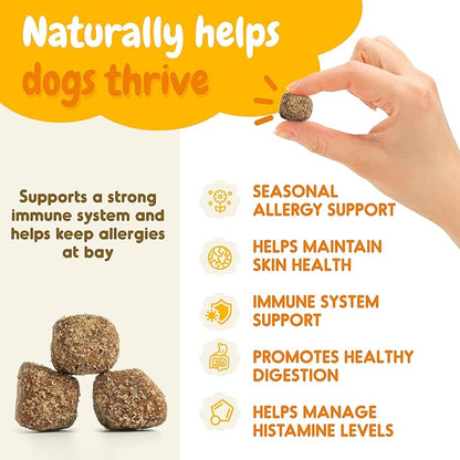 Dog Allergy Chews – 120 Soft Chews for Dog Allergy Relief – Natural Vegetable Flavor Allergy Immune Supplement for Dogs – Soothing and Calming Dog Treats