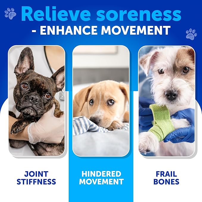 Glucosamine for Dogs - Hip and Joint Supplement for Dogs - Glucosamine Chondroitin For Dogs, Turmeric, MSM - Dog Glucosamine Support - Dog Joint Pain Relief Health - Mobility Treats - 70 Chews
