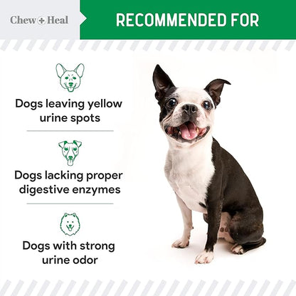 Green Grass Lawn Saver, Dog Urine Neutrelizer, 240 Soft Chews - Reduces Burns and Yellow Spots, Natural Ingredients, Fuss-Free Treatment - Made in The USA