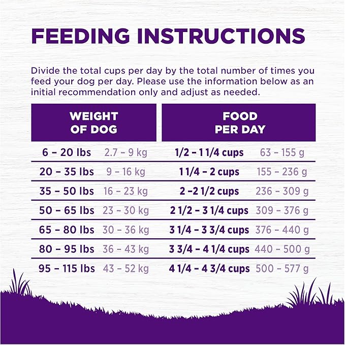 Wellness Complete Health Grain Free Adult Dry Dog Food, Lamb & Lamb Meal Recipe, 22 Pound Bag
