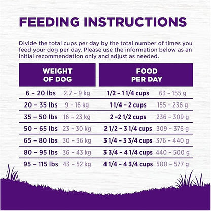 Wellness Complete Health Grain Free Adult Dry Dog Food, Lamb & Lamb Meal Recipe, 22 Pound Bag