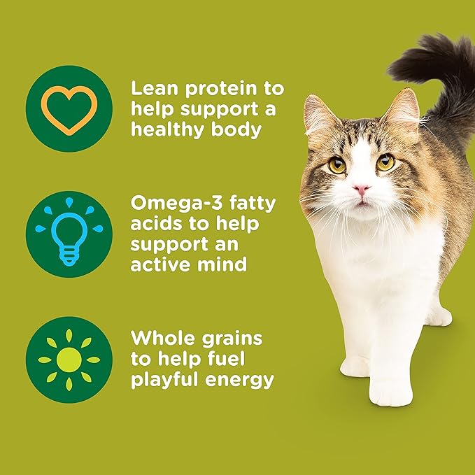 Rachael Ray Nutrish Premium Natural Dry Cat Food with Added Vitamins, Minerals & Other Nutrients, Real Chicken & Brown Rice Recipe, 14 Pound Bag