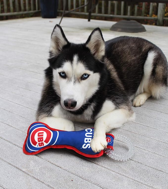 MLB Chicago Cubs Bone Shaped Dental Dog TUG Toy with Squeaker. Tough PET Toy for Healthy Fun, Teething, and Cleaning pet's Teeth and Gum.