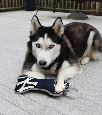 MLB New York Yankees Bone Shaped Dental Dog TUG Toy with Squeaker. Tough PET Toy for Healthy Fun, Teething, and Cleaning pet's Teeth and Gum.