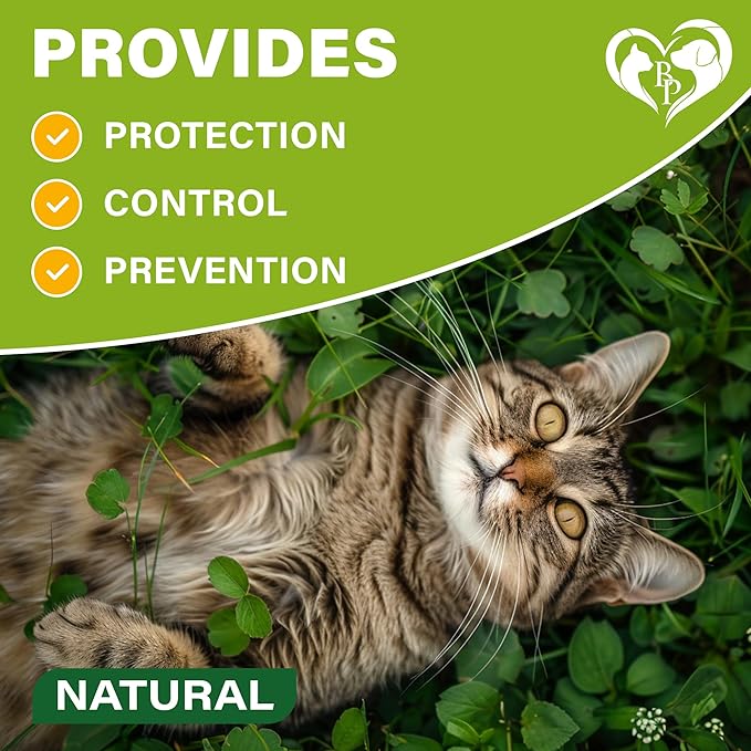 Natural Flea & Tick Collar for Cats - 12 Months Control of Best Prevention & Safe Treatment - Anti Fleas and Ticks Essential Oil Repellent (1 pack)