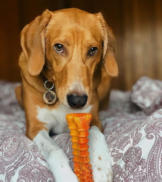 Nylabone Strong Chew Flavor Frenzy Souper Bone Chew Toy for Dogs, Indestructible Chew Toys for Aggressive Chewers, Pepperoni Pizza Flavor, X-Large/Souper - 50+ lbs. (1 Count)