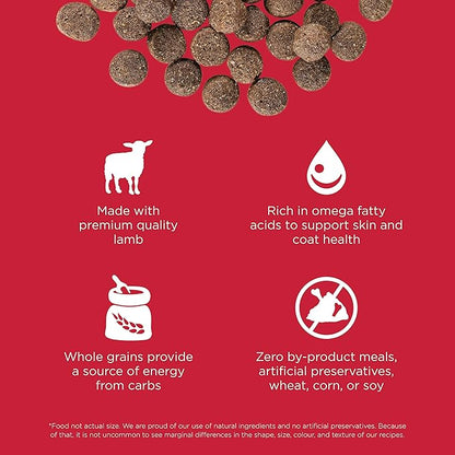 GO! SOLUTIONS Skin + Coat Care - Dry Dog Food, 12 lb - Lamb Recipe with Grains for All Life Stages - Complete + Balanced Nutrition for Dogs