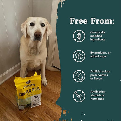 Ancestry Dog Food, Chicken Meal & Brown Rice Formula, Crude Protein, Fiber & Fat with Added Vitamins, For All Life Stages, Dry Dog Food, Improve Gut Health, Digestive & Immune Support (4 lb. Bag)