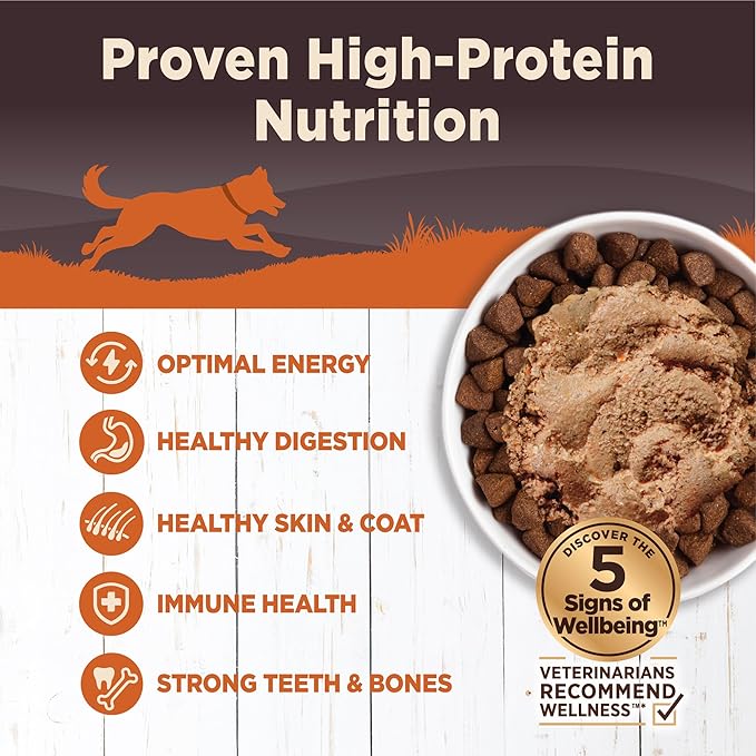 Wellness Natural Pet Food CORE Natural Wet Grain Free Canned Dog Food, Turkey & Chicken, 12.5-Ounce Can (Pack of 12)