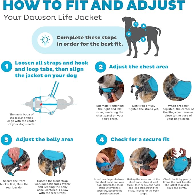 Outward Hound Dawson Swim Blue Dog Life Jacket, XL