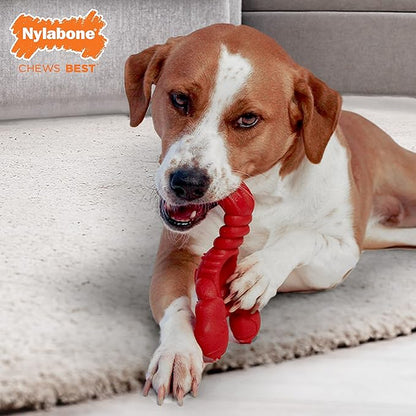 Nylabone Lobster Dog Toy Power Chew – Cute Dog Toys for Aggressive Chewers – with a Funny Twist! Filet Mignon Flavor, X-Large/Souper
