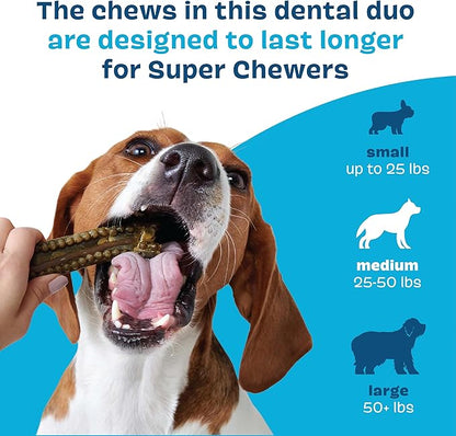 Bark Bright Durable Dental Chews Kit - Dog Tooth Brushing Treatment with Teeth Cleaning Chew Sticks & Toothpaste - Plaque & Tartar Remover for Cleaner Teeth & Fresh Breath - Medium Breeds - 15 Chews