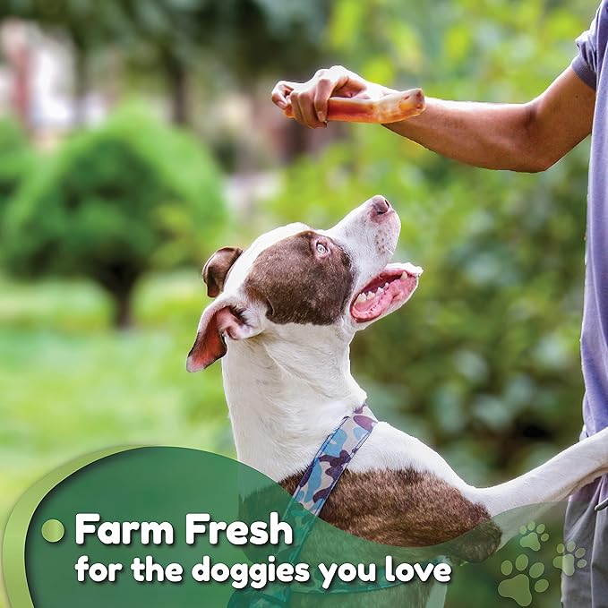 Premium European Beef Bully Sticks 6" - 100% Extra Lean Bully Bones Rawhide-Free & Odor-Free Dog Treats for Small, Medium and Large Dogs | Long Lasting Dental Dog Chews - Pack of 30