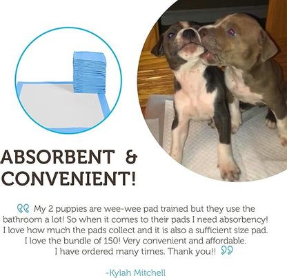 Paws & Pals Leak-Proof Potty Training Pee Pads for Dogs and Puppies, Large - 22x22 Disposable, 150 Count