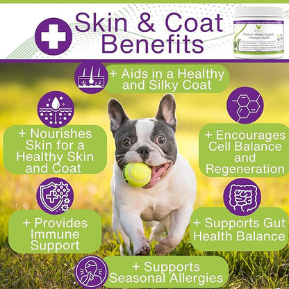 EcoBark Natural Dog Allergy & Immune Chews with Super Greens- Omega 3 Skin and Coat Supplements for Dogs - Gluten Free Probiotic Allergy Support & Relief for a Shiny Coat with Colostrum & Bee Propolis