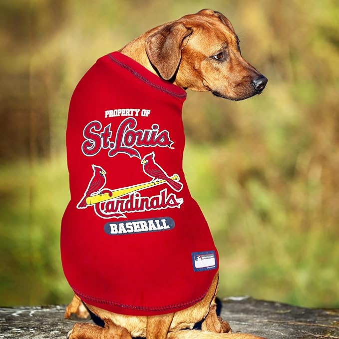 MLB Saint Louis Cardinals Dog T-Shirt, X-Large. - Licensed Shirt for Pets Team Colored with Team Logos. - Premium Stretchable Materials for The Comfort of Your Dog & cat.