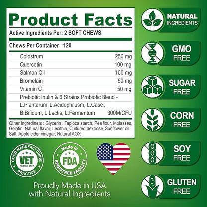 Vet Promise Dog Allergy Chews - Itch Relief for Dogs - Dog Allergy Relief - Anti Itch for Dogs - Dog Itchy Skin - Dog Allergy Support - Hot Spots - Immune Health Supplement - Made in USA - 120 Treats