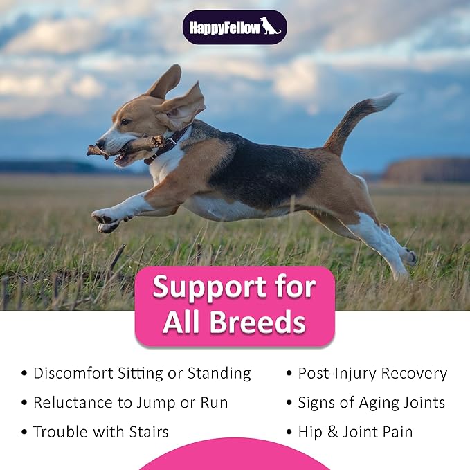 Hip and Joint Supplement for Dogs - Mobility Aids Glucosamine Chondroitin for Dogs Arthritis Pain Relief Anti Inflammatory, Small Large Breed Advanced Support, Pain Relief, 140 Soft Chews