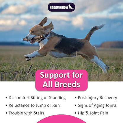 Hip and Joint Supplement for Dogs - Mobility Aids Glucosamine Chondroitin for Dogs Arthritis Pain Relief Anti Inflammatory, Small Large Breed Advanced Support, Pain Relief, 140 Soft Chews