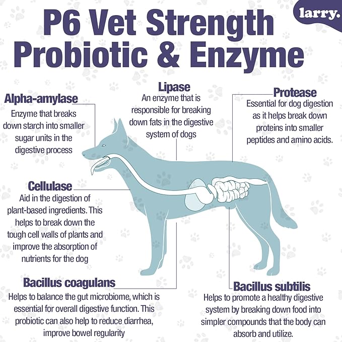 Dog Probiotics and Digestive Enzymes by Larry | 1 Billion CFUs of Probiotics for Dogs | Digestion, Bowel Support, & Gut Health for Dogs | Probiotic Chew for Dogs All Breeds & Sizes, (60 Soft Chews)