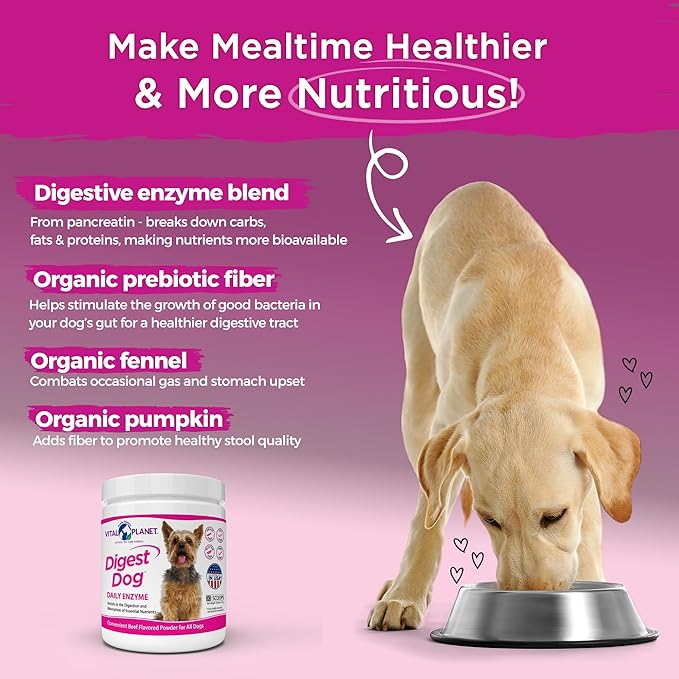 Vital Planet - Digest Dog Digestive Pancreatic Enzyme Blend with Pumpkin and Fennel to Support The Pancreas and Healthy Digestion with Pancreatin, Beef Flavored Powder for Dogs - 111 Grams 30 Scoops