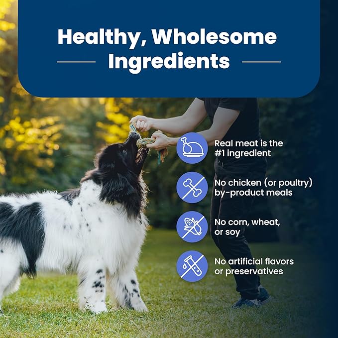 Blue Buffalo Life Protection Formula Healthy Weight Large Breed Adult Dry Dog Food for Weight Control, Made with Natural Ingredients, Chicken & Brown Rice Recipe, 30-lb. Bag